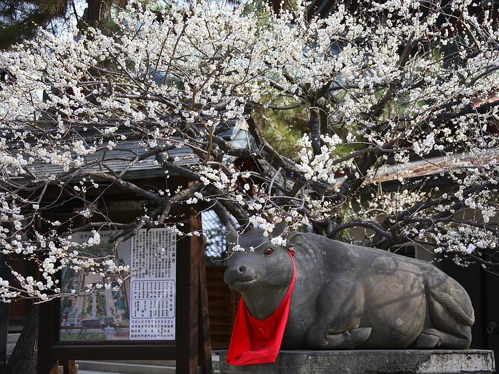 ゲストハウスいろは 京都市 エクステリア 写真